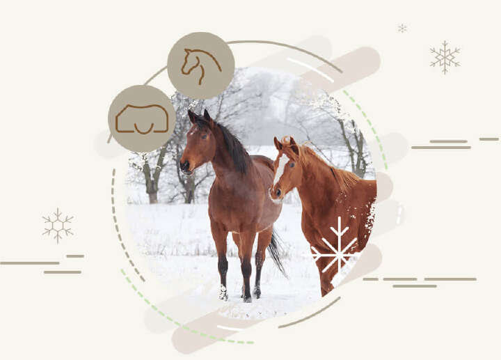 zwei pferde im schnee icons winter kalt